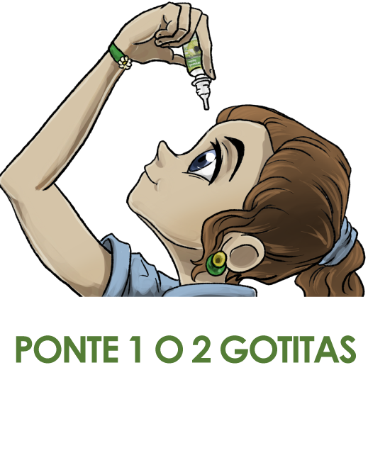 manzanilla sophia chamomile eyedrops being applied illustration for the website