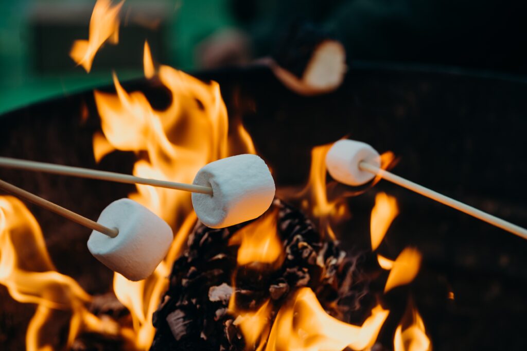 roasting smores over fire for the manzanilla sophia blog