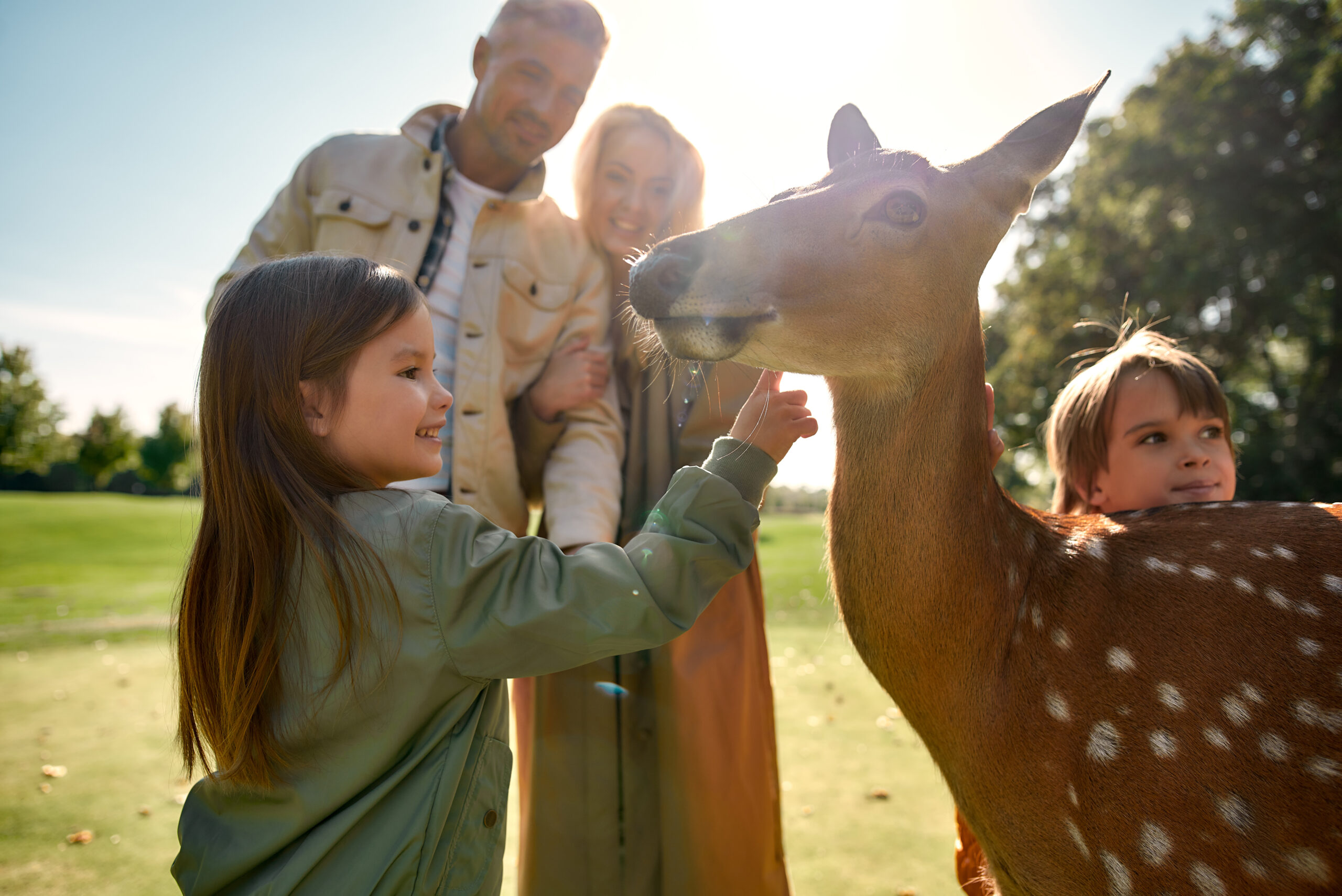 A family petting a deer in nature for the manzanilla sophia blog